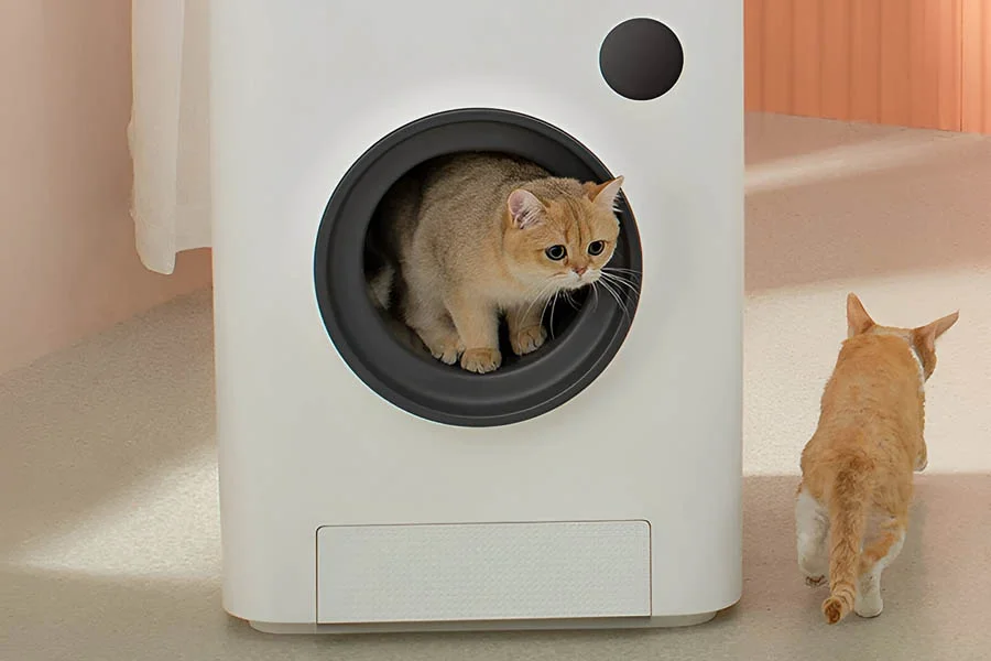 best litter box for multiple cats automatic